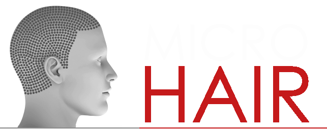 MICRO HAIR - Haarpigmentierung